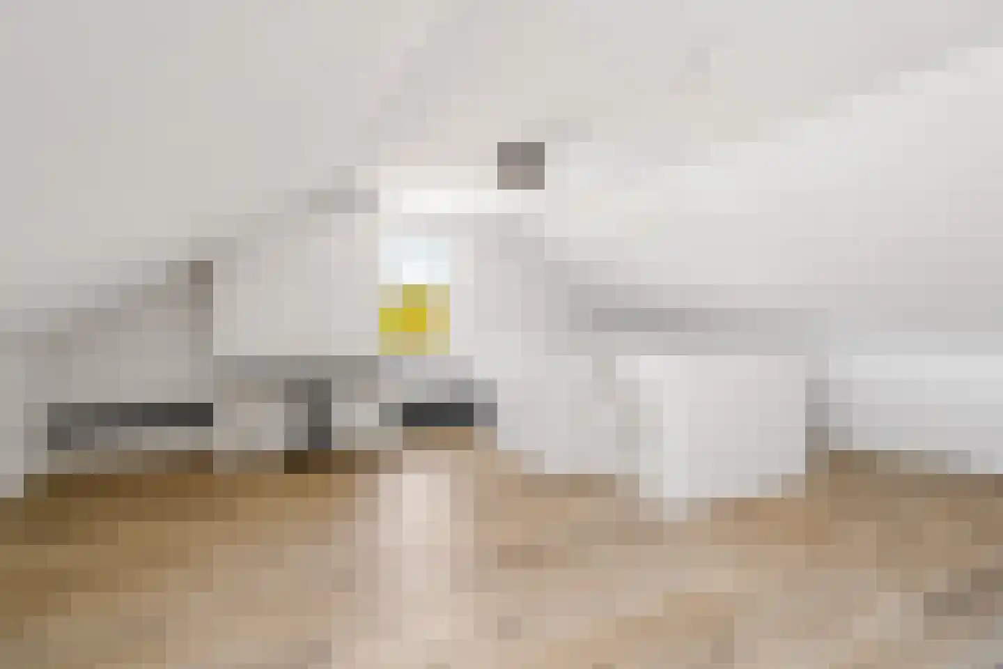 Windpeluw 5 Nunspeet thumbnail 50