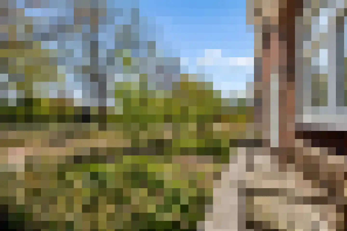 Windpeluw 5 Nunspeet thumbnail 67