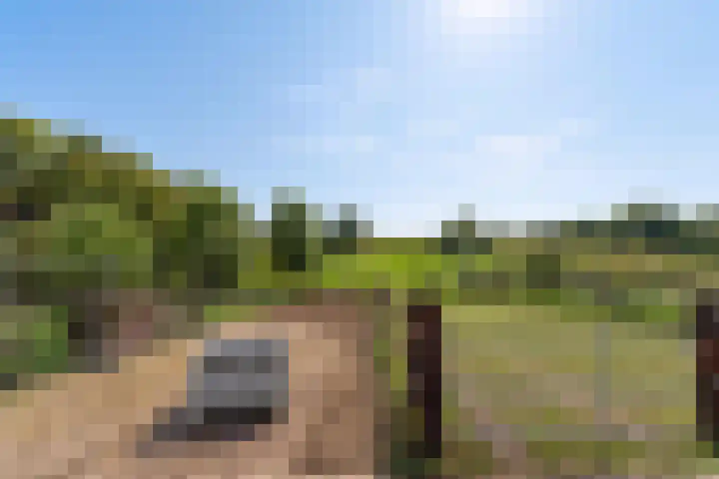 Windraak 14 Windraak thumbnail 12