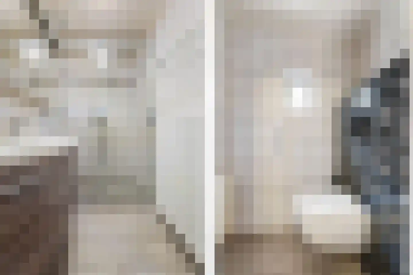 Windraak 14 Windraak thumbnail 18