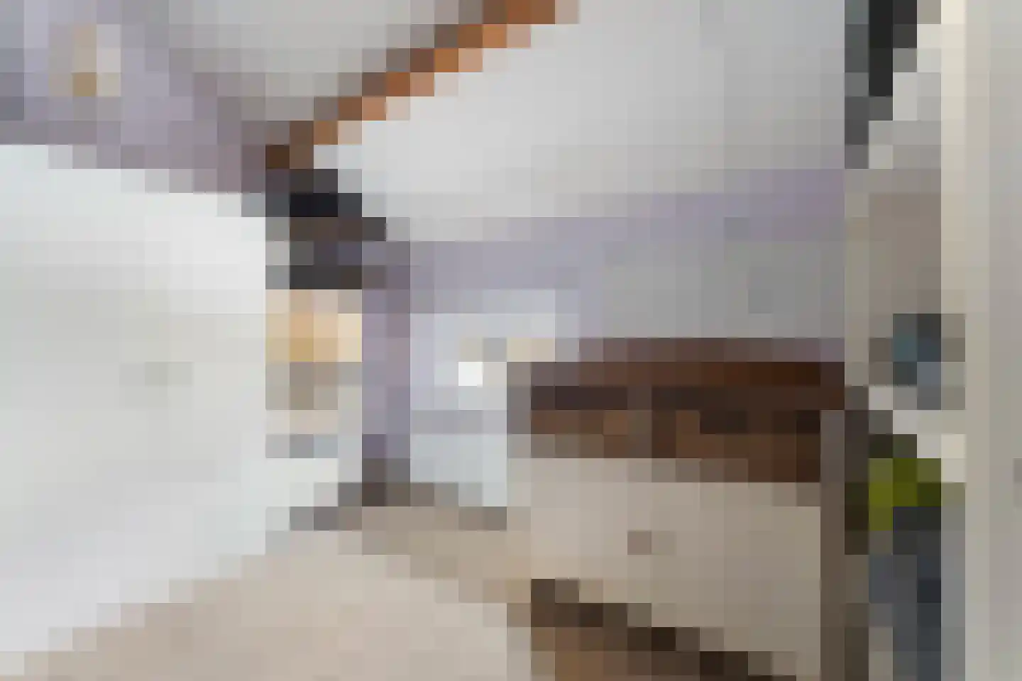 Windraak 14 Windraak thumbnail 24