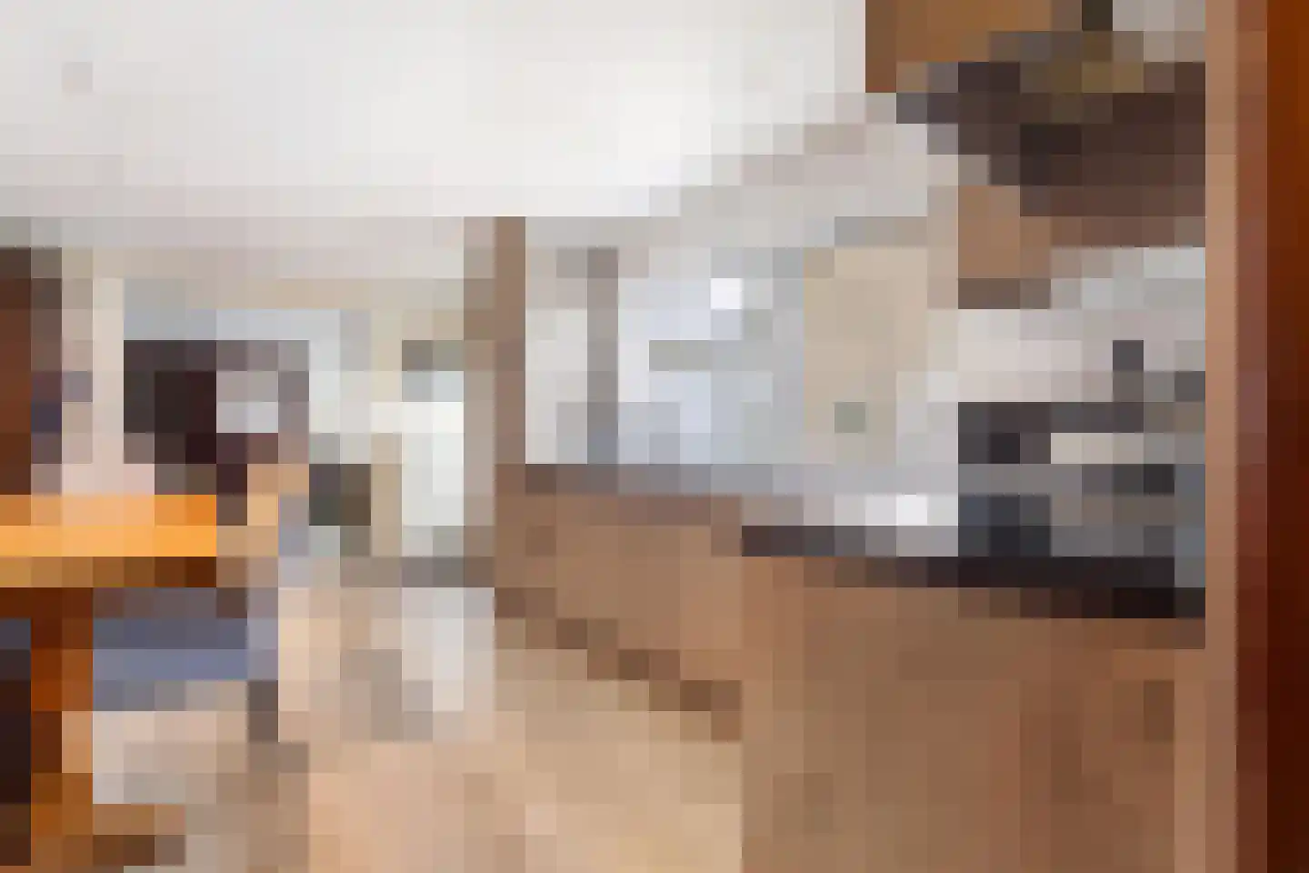 Windraak 14 Windraak thumbnail 8