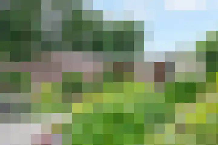 Windraak 15 Windraak thumbnail 12