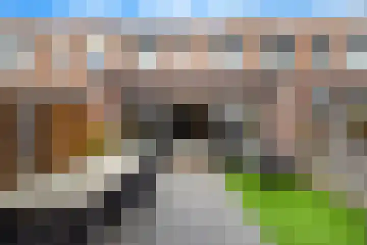 Windraak 15 Windraak thumbnail 15