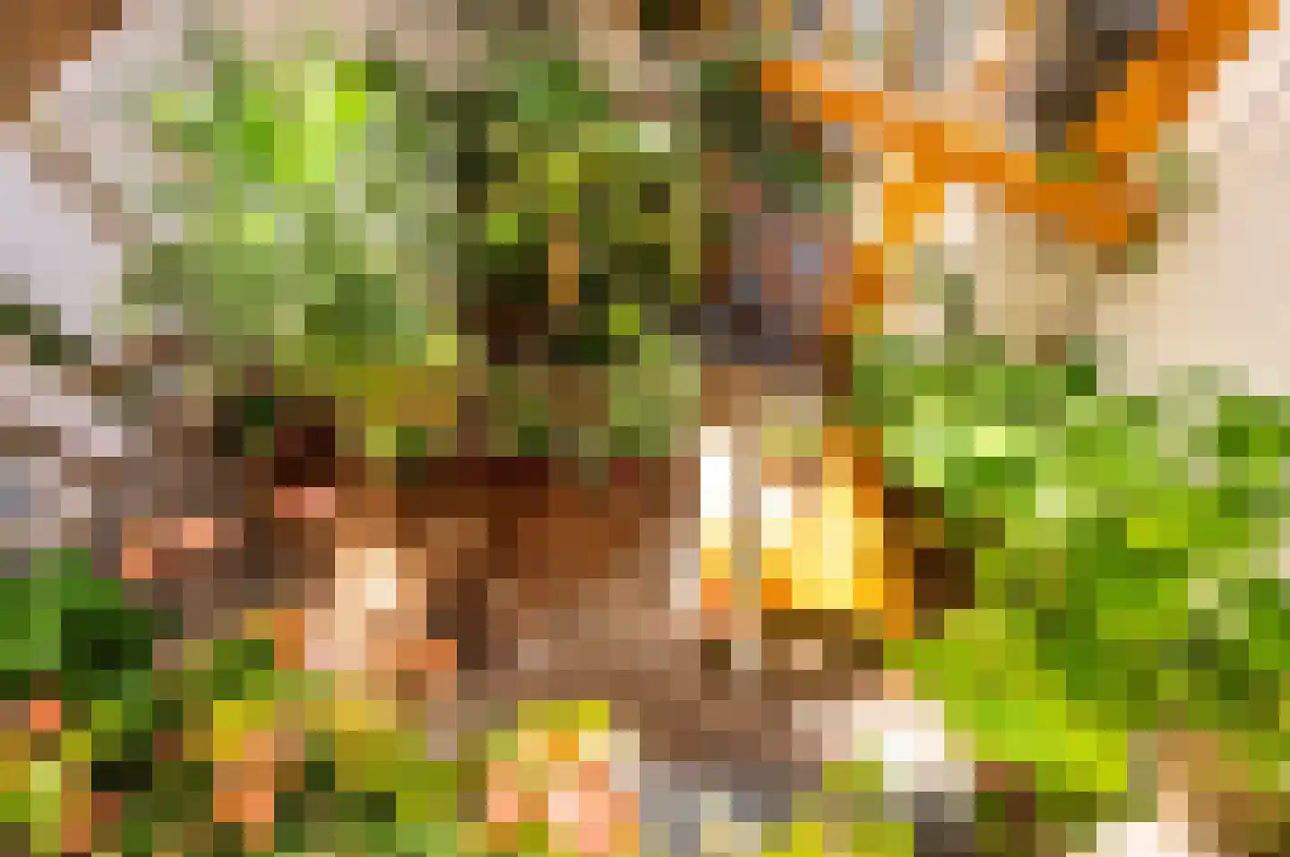 Windroosplein 16 Amsterdam thumbnail 26