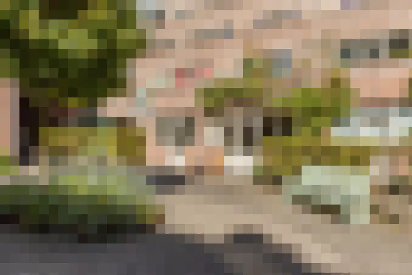 Windroosplein 192 Amsterdam thumbnail 26