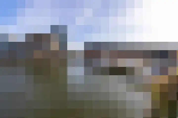 Windroosplein 24 Amsterdam thumbnail 14
