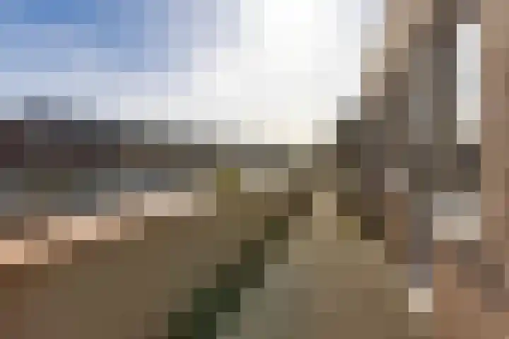 Windroosplein 24 Amsterdam thumbnail 15