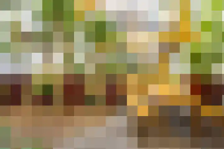 Windroosplein 24 Amsterdam thumbnail 29