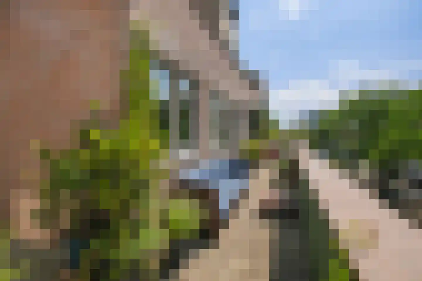 Windroosplein 34 Amsterdam thumbnail 10