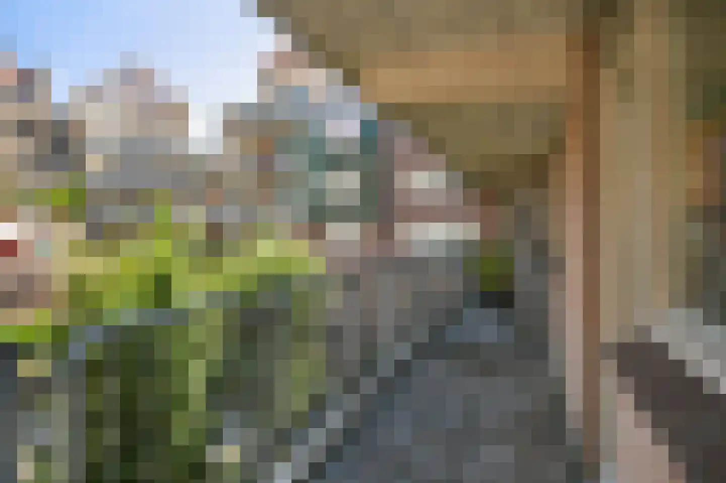 Windroosplein 34 Amsterdam thumbnail 13