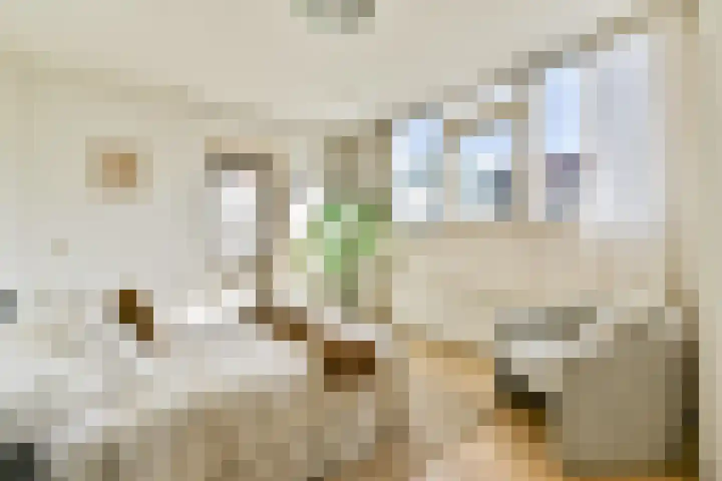 Windroosplein 60 Amsterdam thumbnail 10