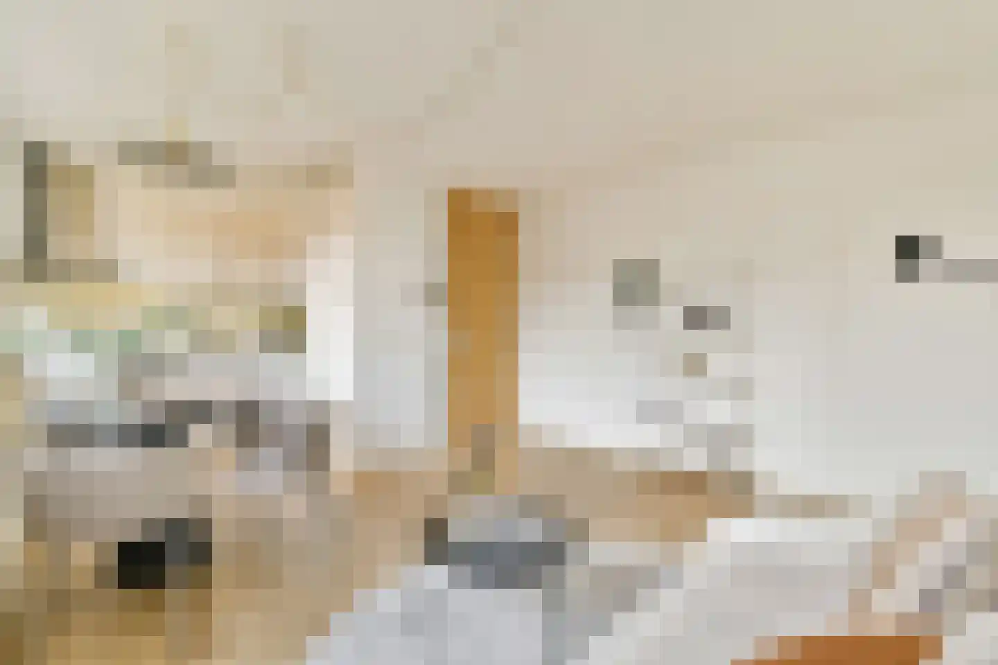 Windroosplein 60 Amsterdam thumbnail 4