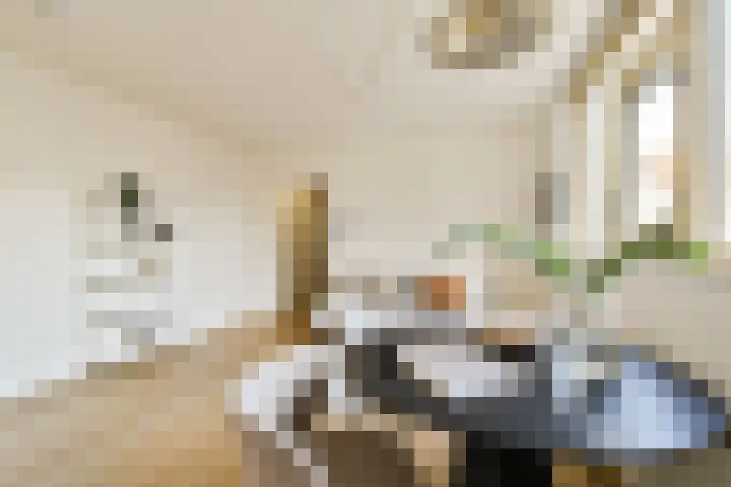 Windroosplein 60 Amsterdam thumbnail 7