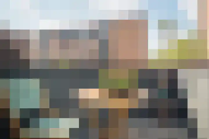 Windroosplein 72 Amsterdam thumbnail 19