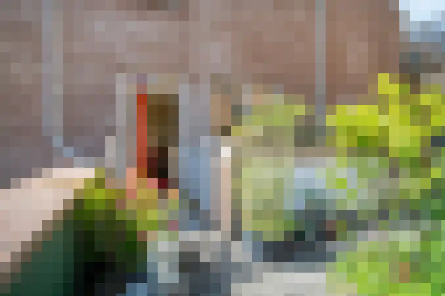 Windroosplein 82 Amsterdam thumbnail 28