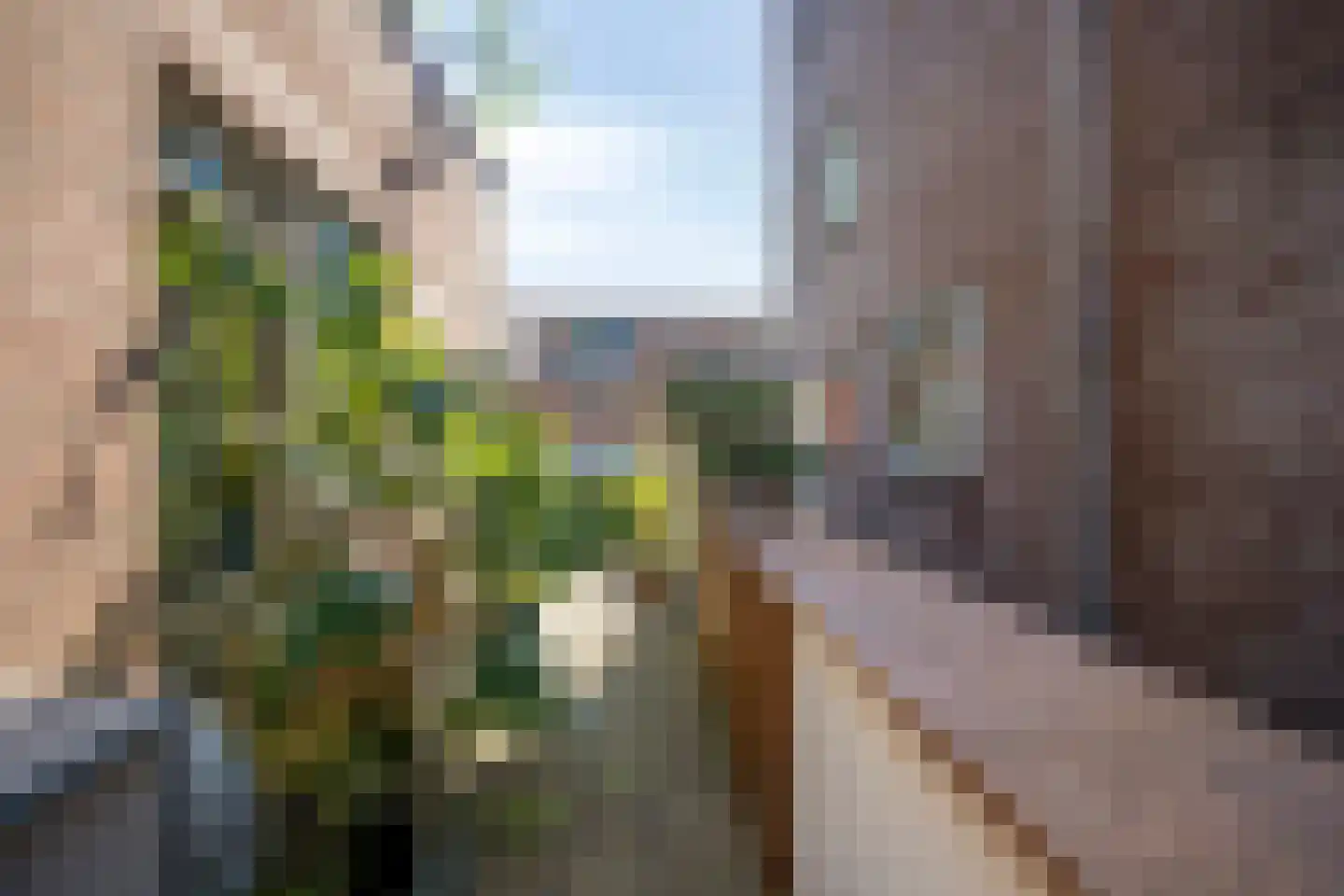 Windroosplein 82 Amsterdam thumbnail 29