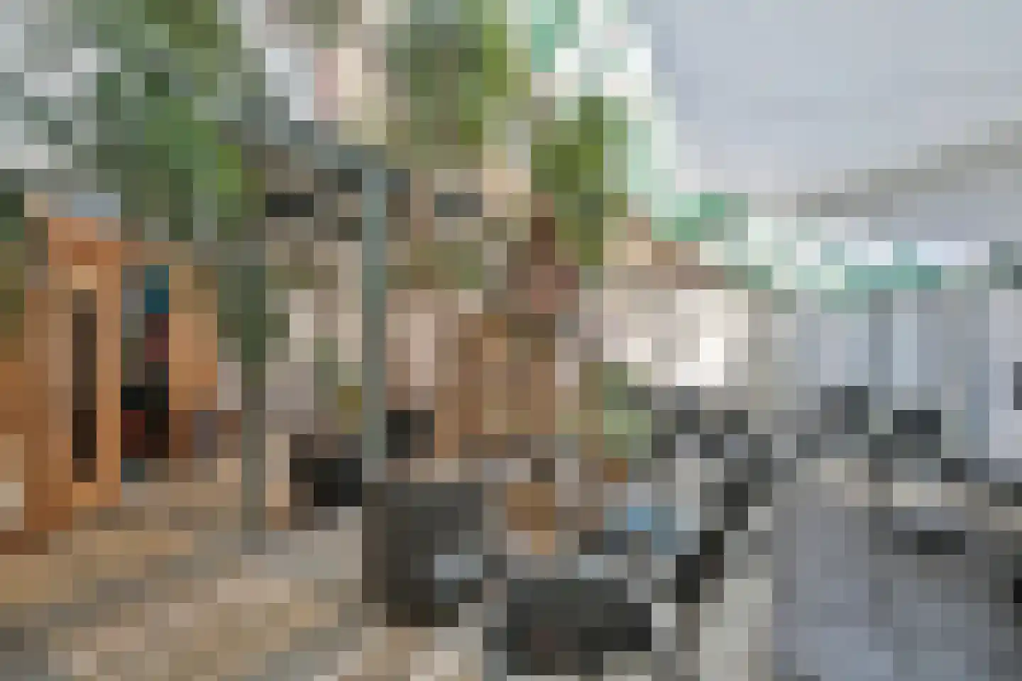 Windroosplein 82 Amsterdam thumbnail 30