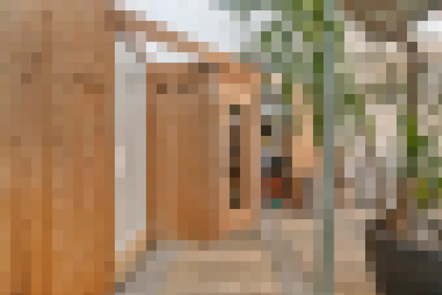 Windroosplein 82 Amsterdam thumbnail 31