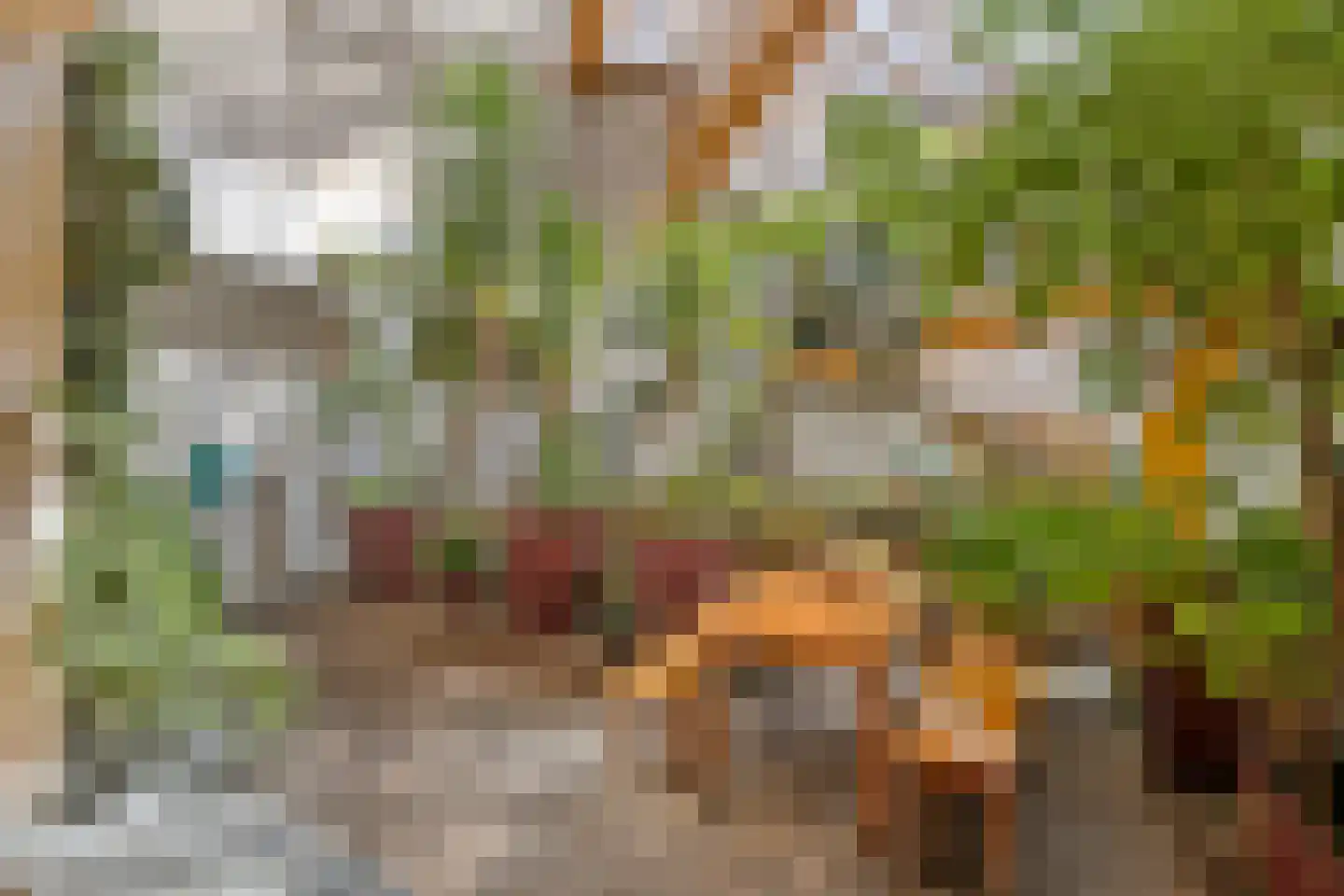 Windroosplein 82 Amsterdam thumbnail 35