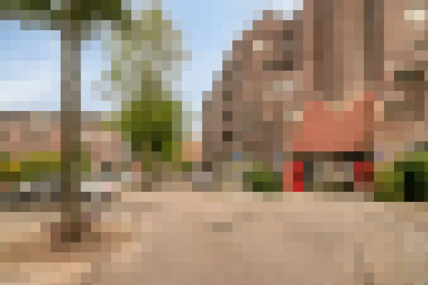 Windroosplein 82 Amsterdam thumbnail 7