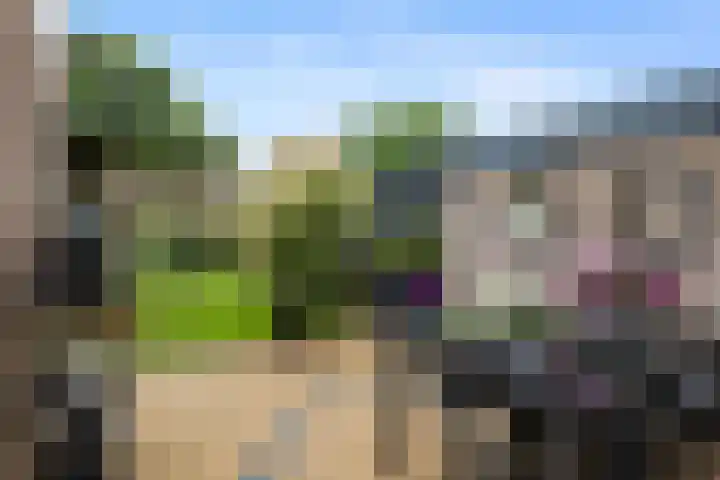 Windshoek 12 Veendam thumbnail 22