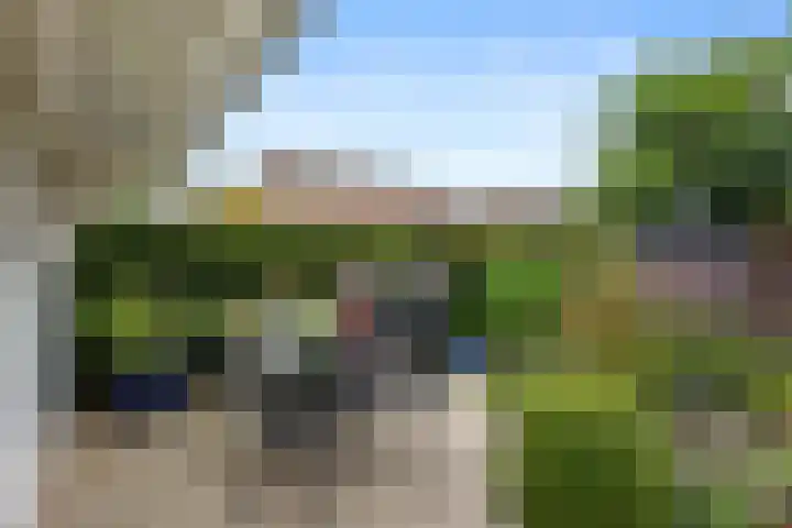 Windshoek 12 Veendam thumbnail 24