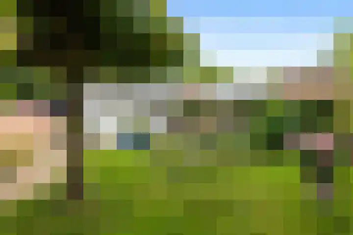 Windshoek 12 Veendam thumbnail 25