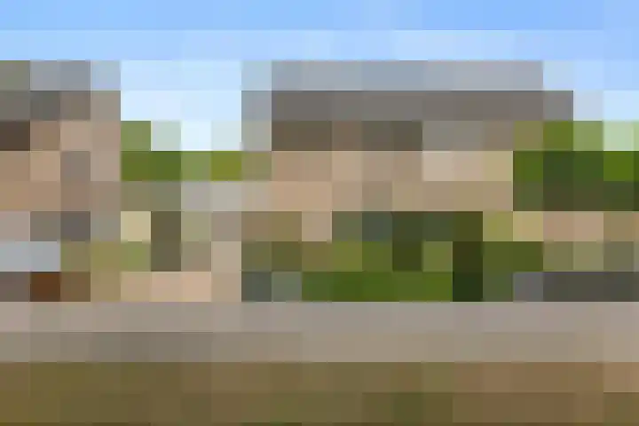 Windshoek 12 Veendam thumbnail 26