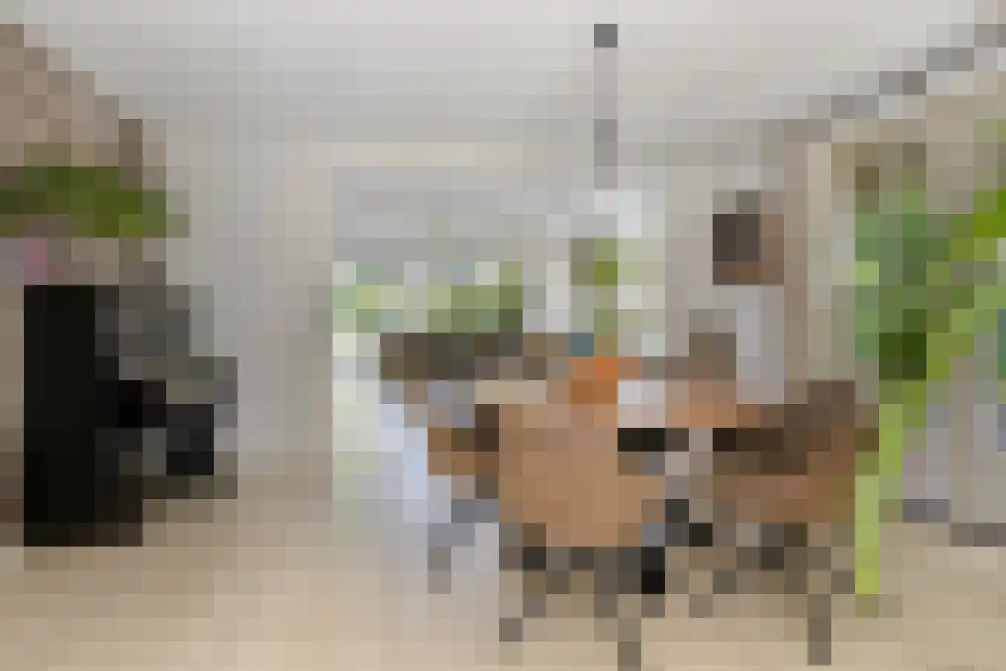 Windsingel 36 Tholen thumbnail 13