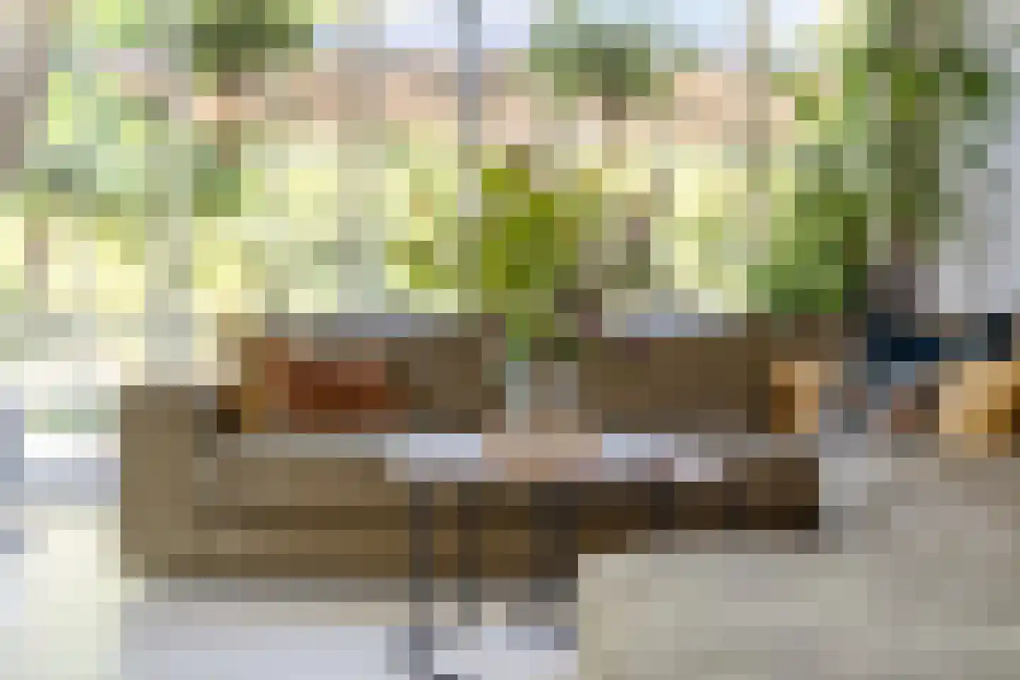 Windsingel 36 Tholen thumbnail 15