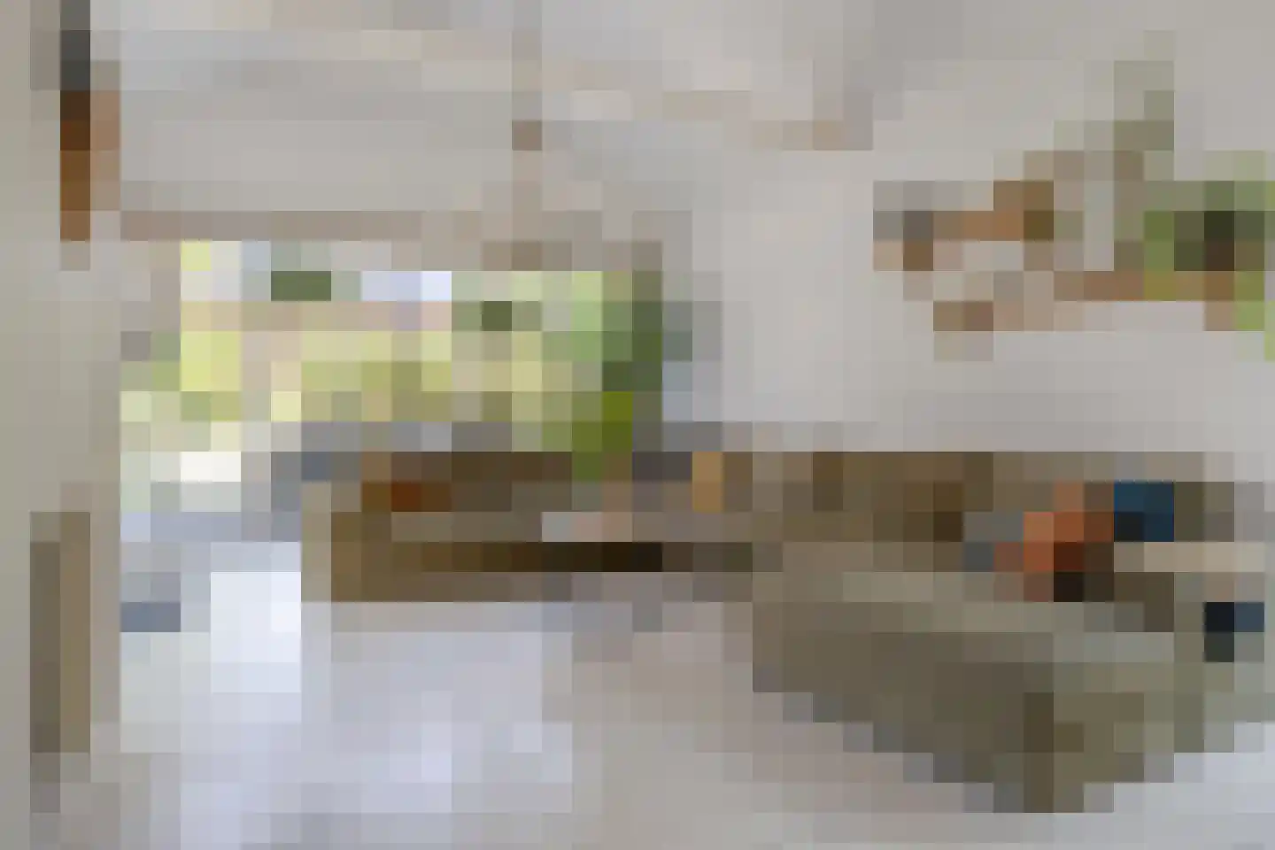 Windsingel 36 Tholen thumbnail 17
