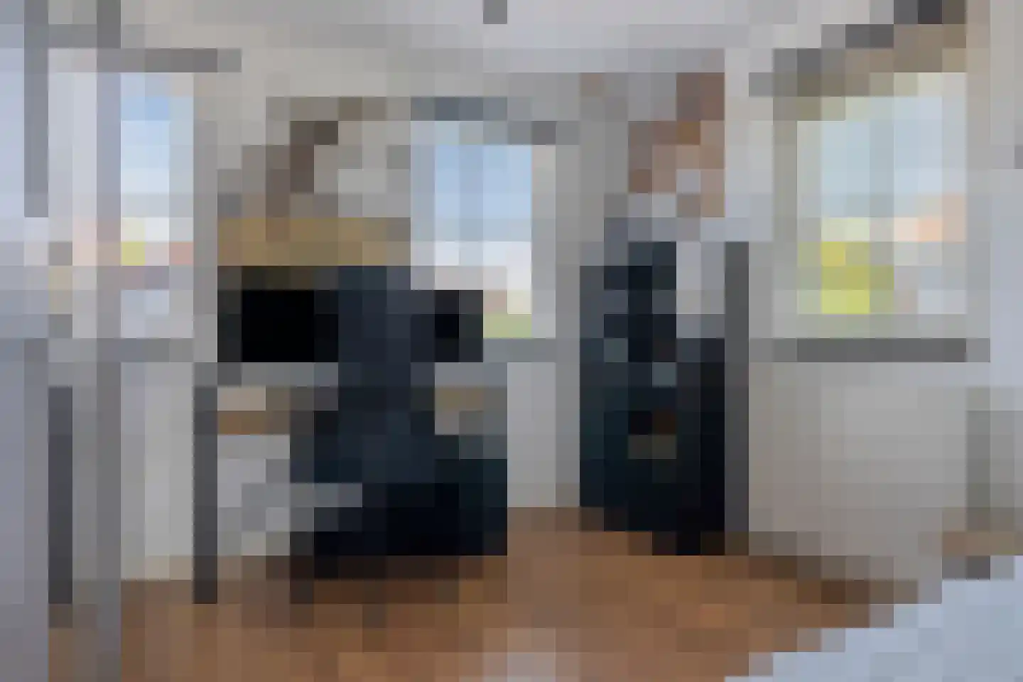 Windsingel 36 Tholen thumbnail 33