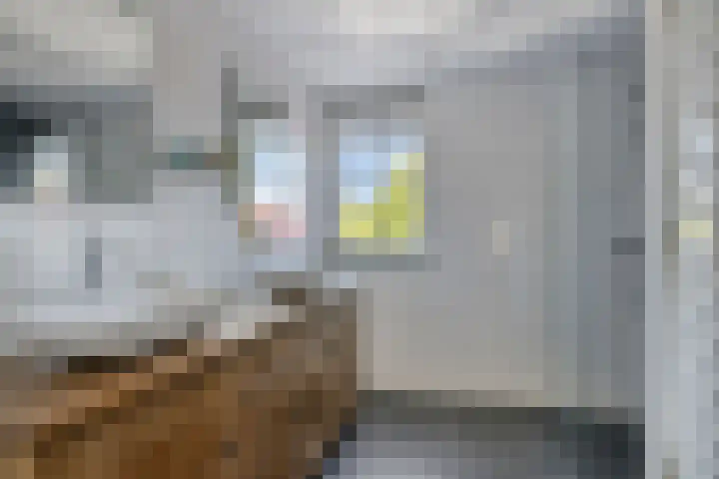 Windsingel 36 Tholen thumbnail 37