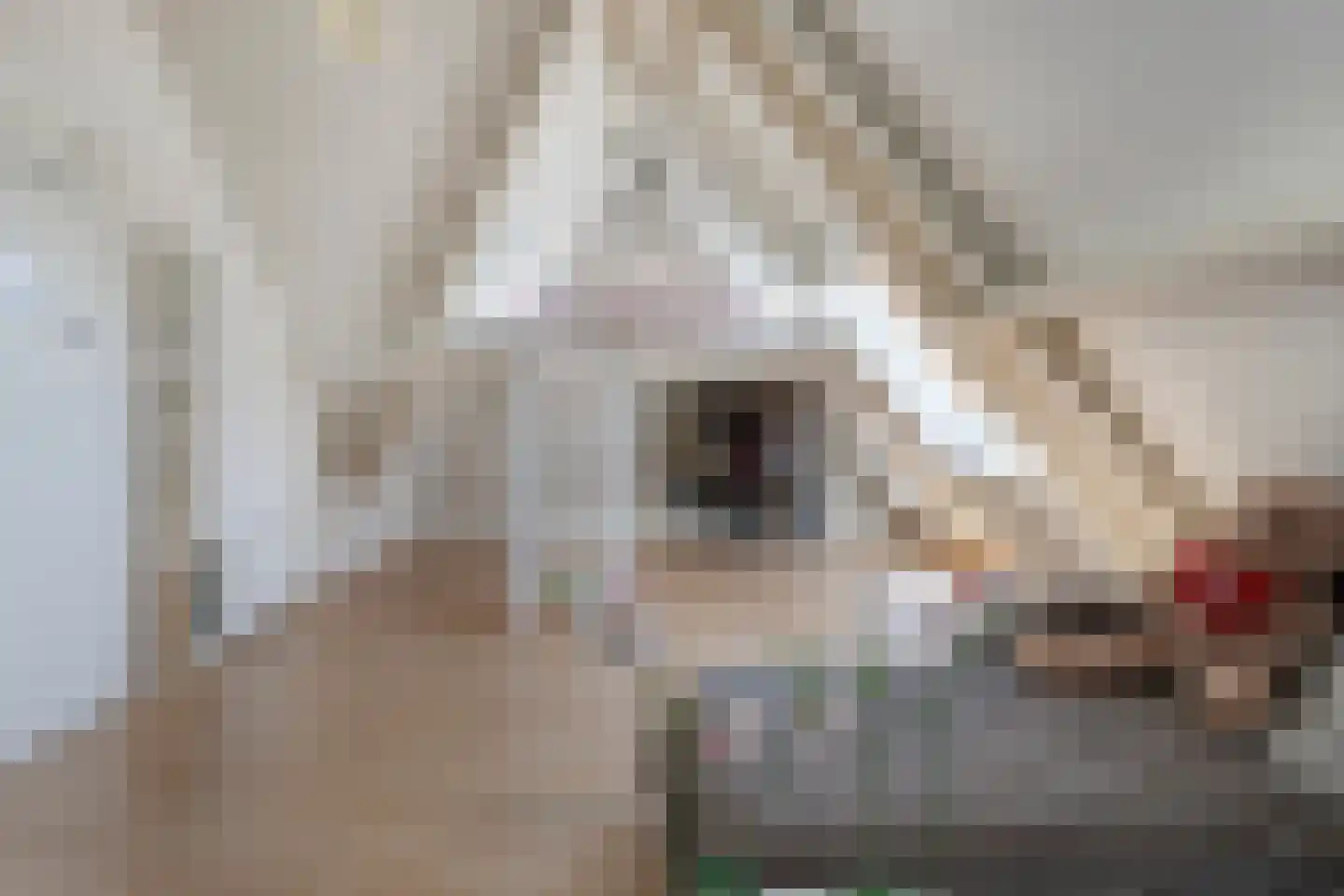 Windsingel 36 Tholen thumbnail 42