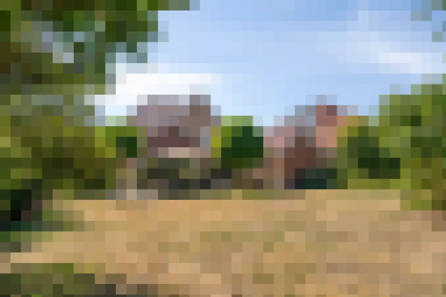 Windsingel 36 Tholen thumbnail 46