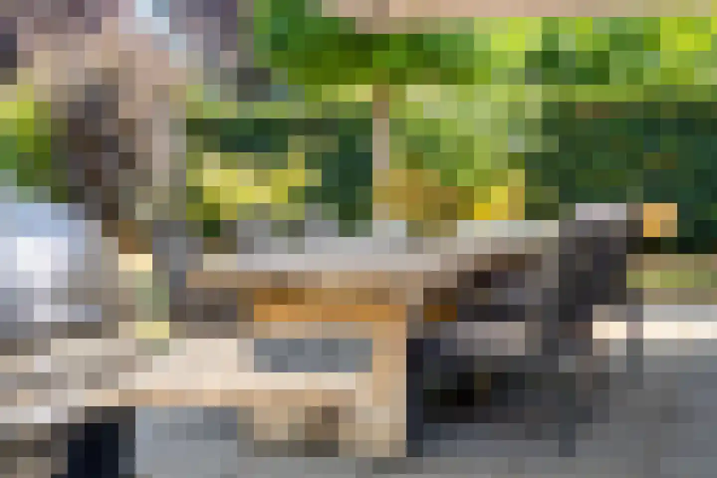 Windsingel 36 Tholen thumbnail 52