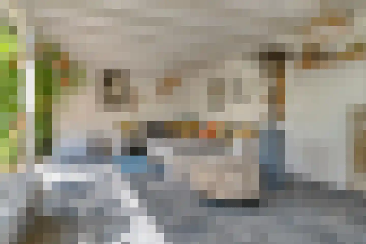 Windsingel 36 Tholen thumbnail 54
