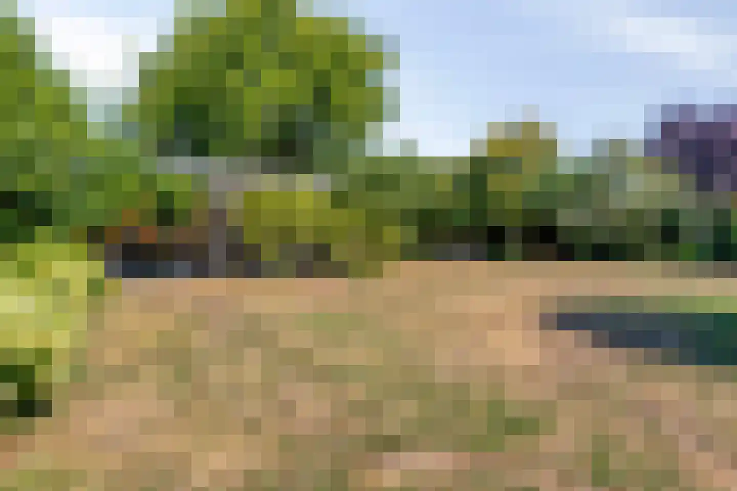 Windsingel 36 Tholen thumbnail 55