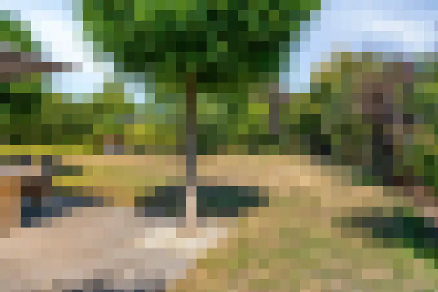 Windsingel 36 Tholen thumbnail 56