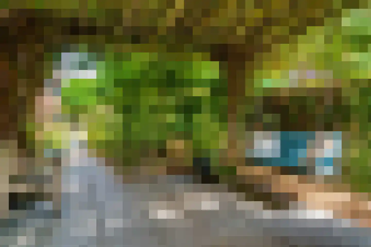 Windsingel 36 Tholen thumbnail 57
