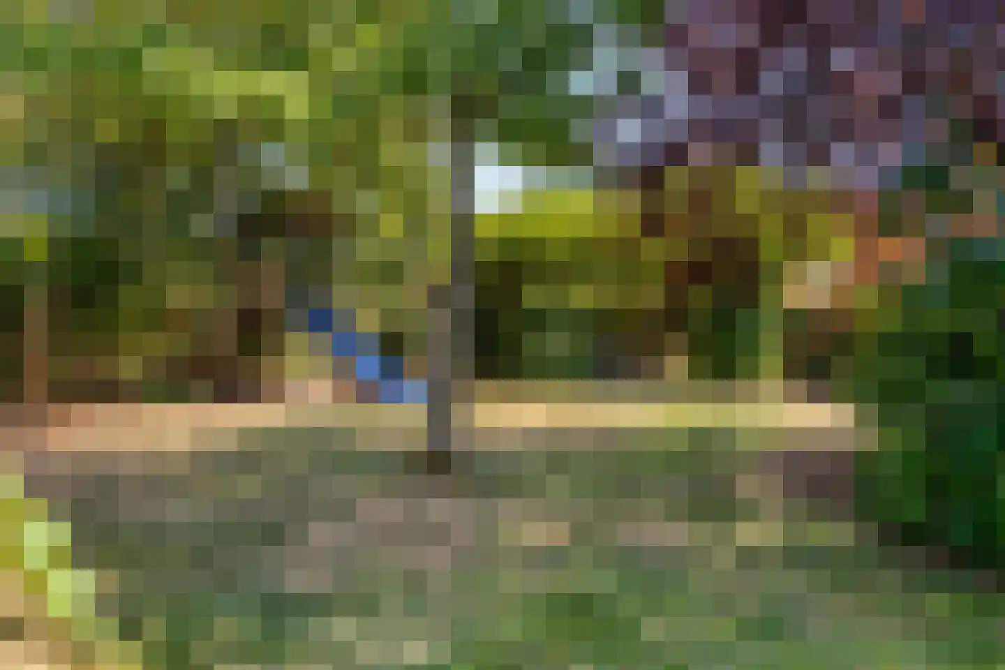Windsingel 36 Tholen thumbnail 59