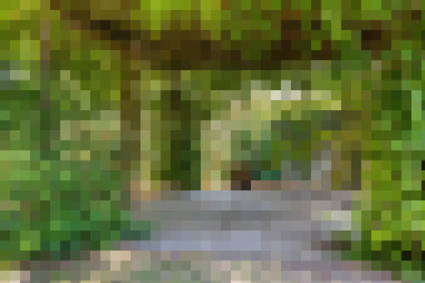 Windsingel 36 Tholen thumbnail 60