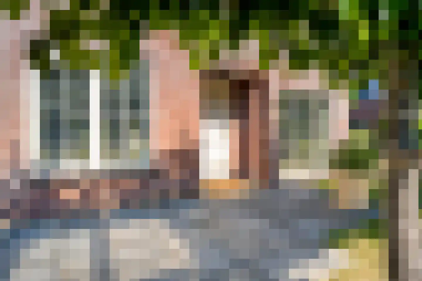Windsingel 36 Tholen thumbnail 67
