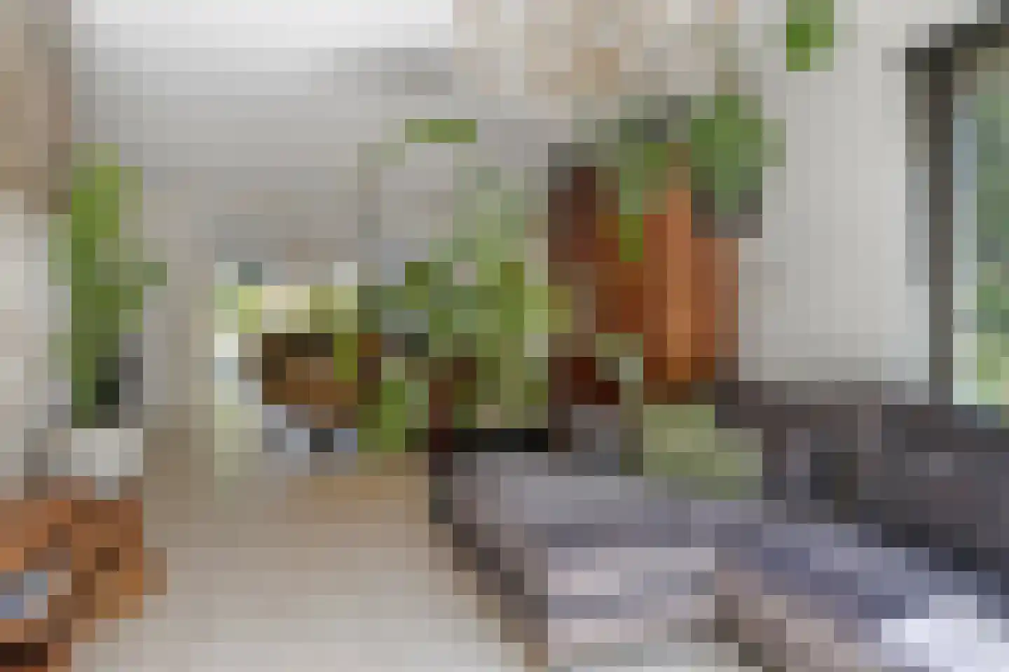 Windsingel 36 Tholen thumbnail 9