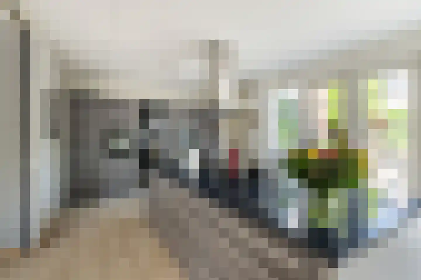 Windsingel 44 Tholen thumbnail 20