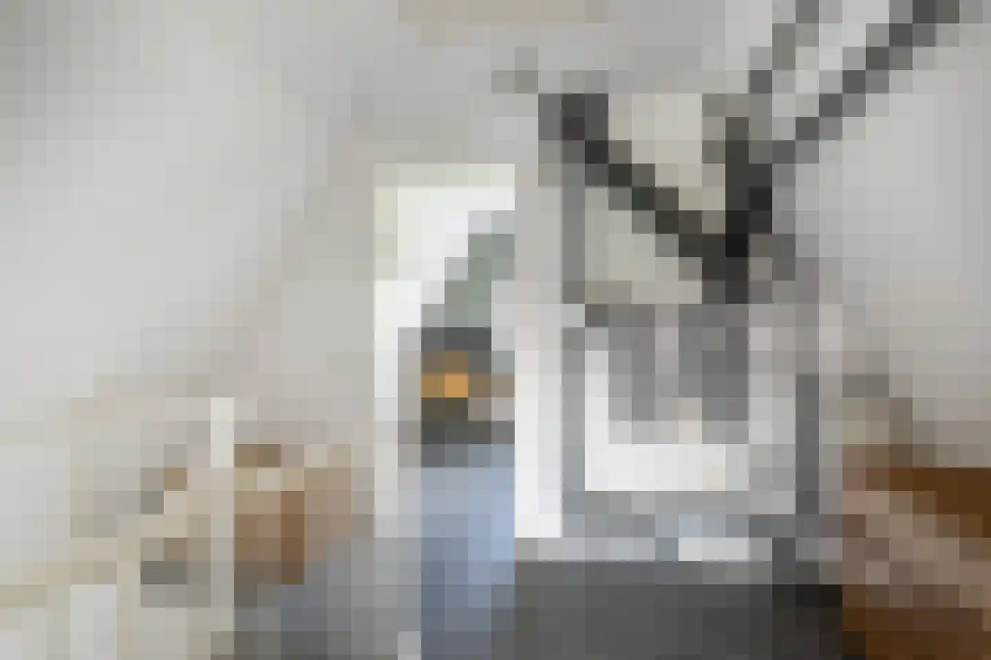 Windsingel 44 Tholen thumbnail 36