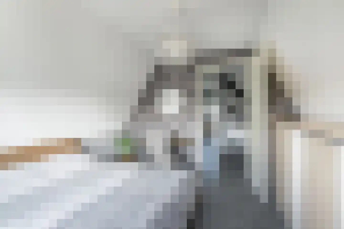 Windsingel 44 Tholen thumbnail 41