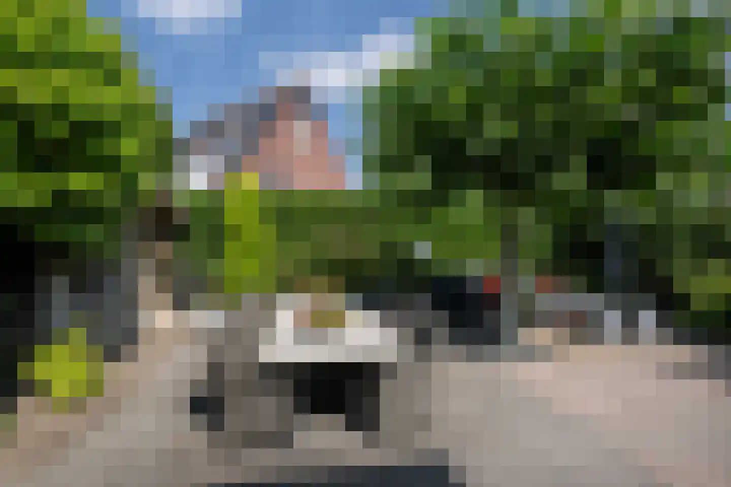 Windsingel 44 Tholen thumbnail 42