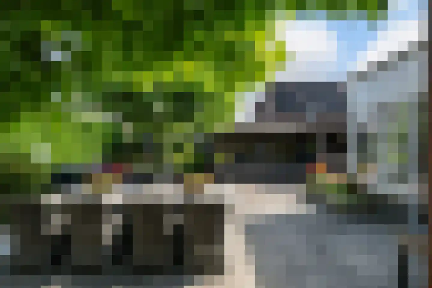 Windsingel 44 Tholen thumbnail 44